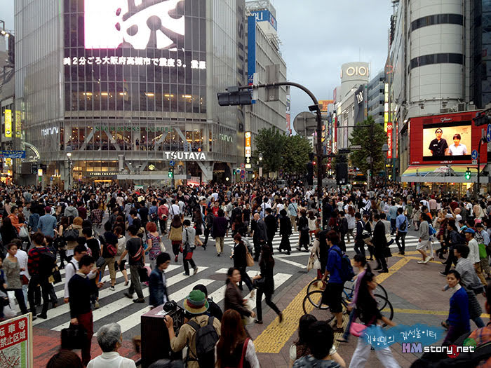 도쿄 시부야 스크램블 모습