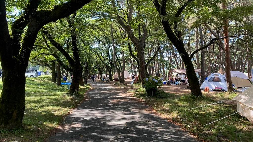 일본 카미오시마 캠핑장 산책로 모습