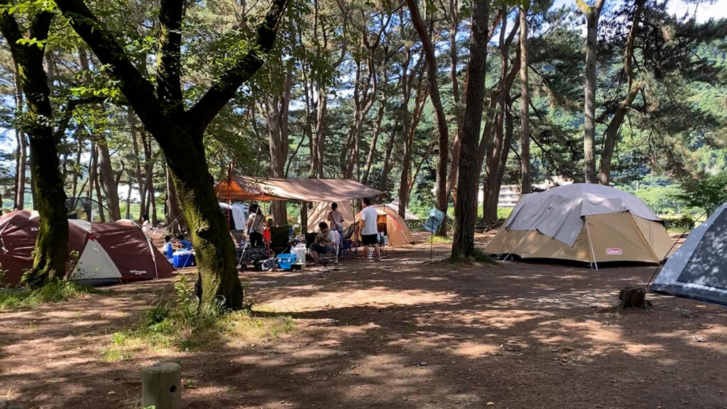 일본 카미오시마 캠핑 사이트에 보이는 텐트들