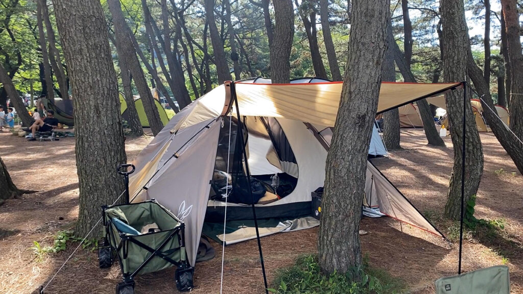 귀여운 나의 DOD 텐트