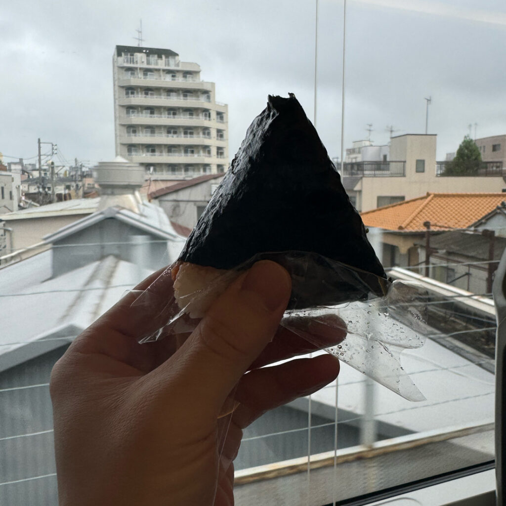스카이라이너에서 삼각김밥 먹기