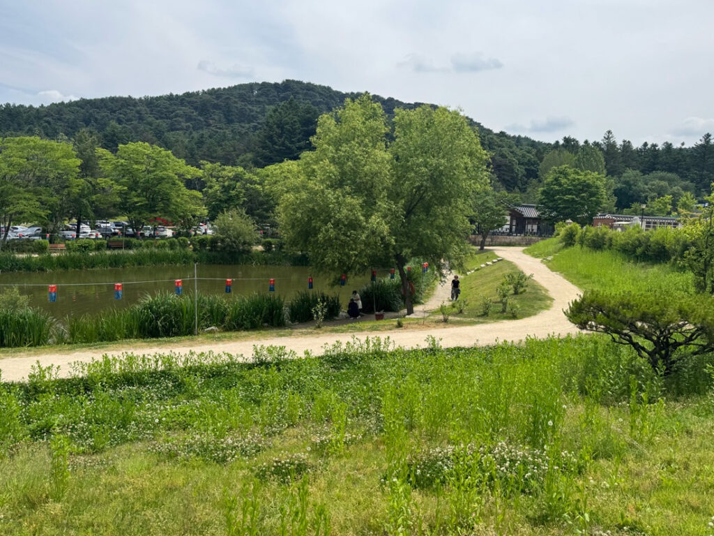 봉선사 연꽃단지 전경