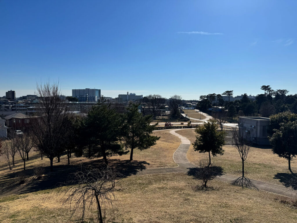 퇴사 후 러닝 달렸던 공원