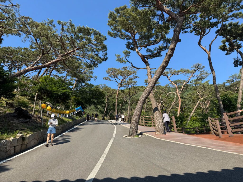 보문사를 향해 올라가는 길