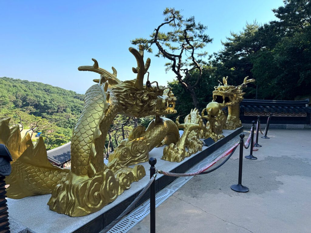 보문사 황금빛 쌍룡